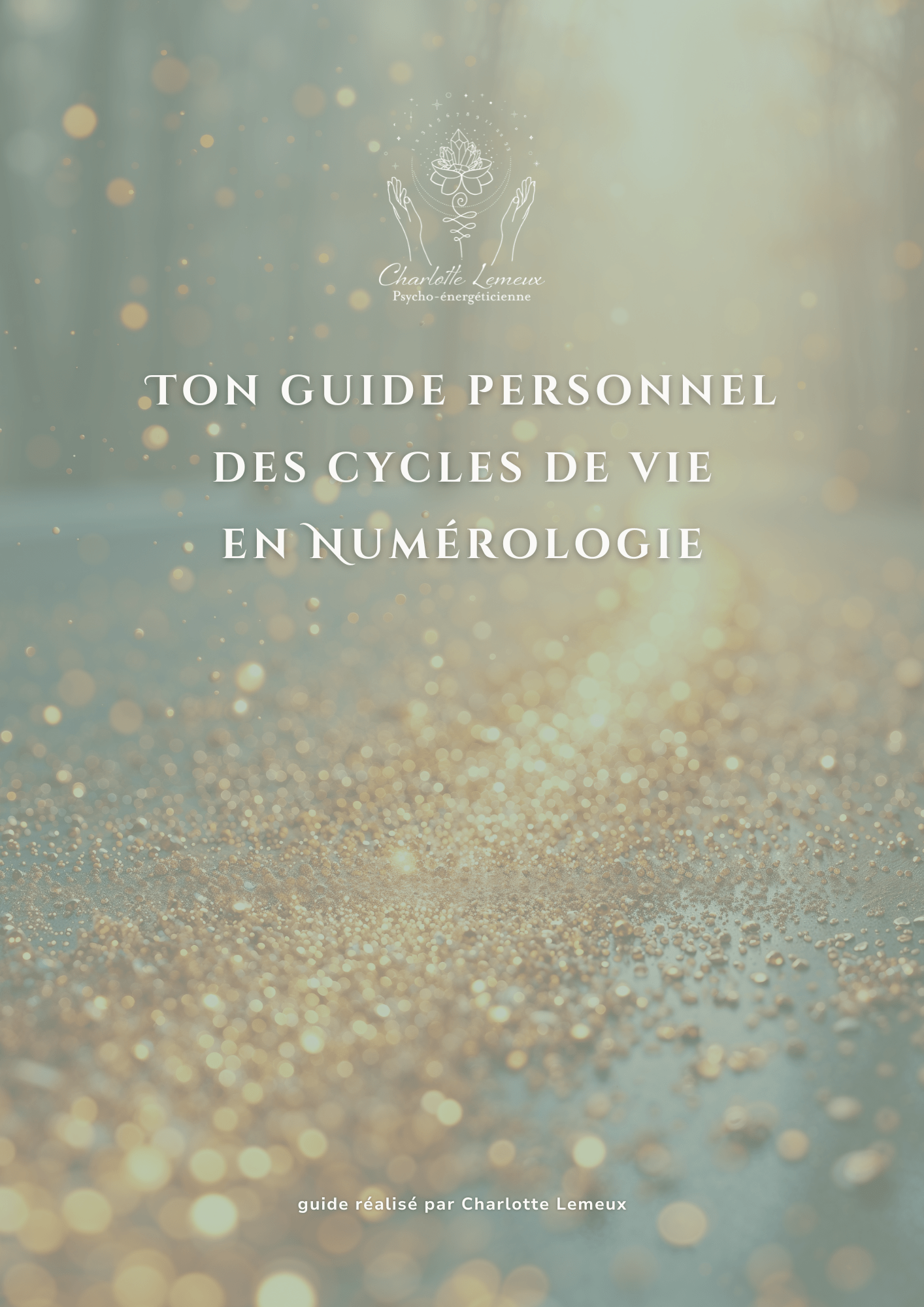 guide personnel des cycles de vie en numérologie